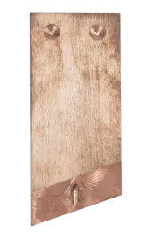 Embout en tungstène 60°